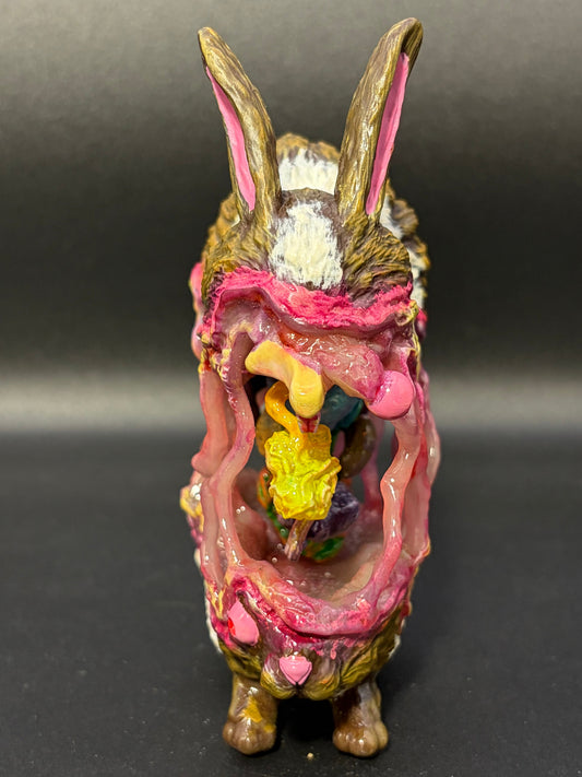 Mini Bunny Guts