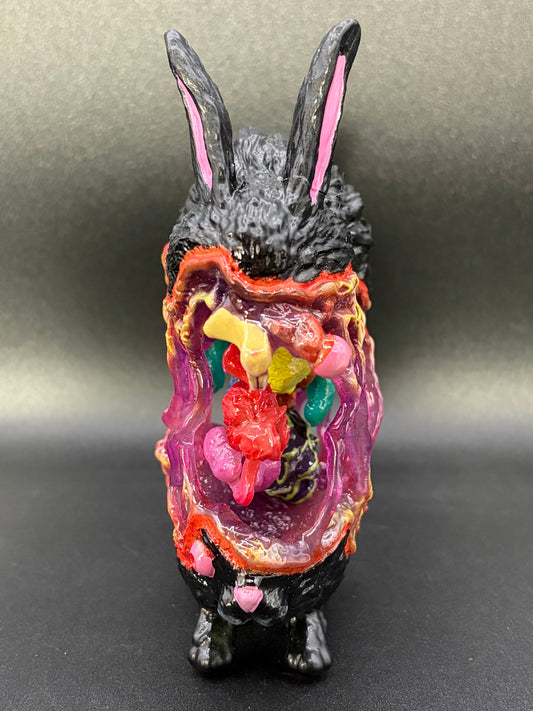 Mini Bunny Guts